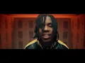 Polo G, Stunna 4 Vegas & NLE Choppa feat. Mike WiLL Made-It - Go Stupid (Official Video)