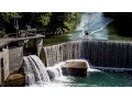 Urban Winch Sessions w Dominik Hernler