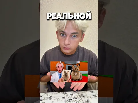 До конца😱 Ищите сладости на ВБ:258267021 267699644 254044047