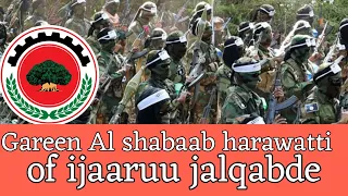 Gareen Al Shabaab Harawatti Of Ijaaruu Jalqabde 