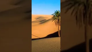 اذا كنت في الصحراء وسمعت هذا الصوت Pov  اذا كنت في الصحراء وسمعت هذا الصوت Pov