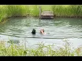 Professional Pool Installation - What went Wrong