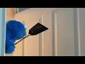 Lordjk Tiktok - Cookie monster Compilation!!! (OUTDATED)