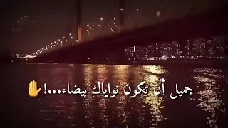 حلات واتساب نغمة رنين  تهز الارض دندنها