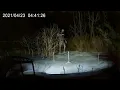 2 Hours of Most Disturbing Camping Encounters Caught on Camera Vol 14