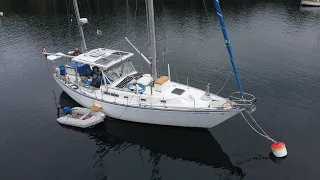 Video Intro Short Video