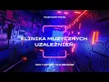 Download Lagu Muzyczny Mlyn 2k24 vol. 5 Best session of trance,  Live mix
