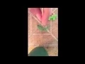 Making a turtle out of Perler beads