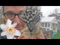 First GARDEN TOUR of the Year Plus Baby EMU Hangout