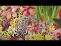 Sonny Tennet - Love Grows (Where My Rosemary Goes) [Official Audio]