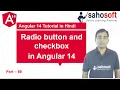 radio button and checkbox in Angular 14 Forms Angular 14 Tutorial in Hindi