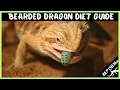 Bearded Dragon Diet Guide - Here s What Babies and Adults Eat
