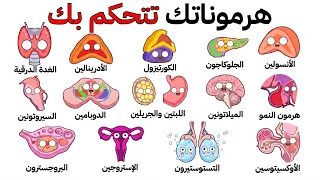 شرح هرمونات الجسم البشري في   دقائق دندنها