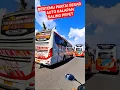 Lagu NGERI KALAU SUDAH KUMAT ‼️ Bus Rosalia dipepet bus mira