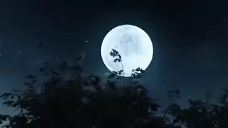 أصوات ت تلى ولم ت سمع من قبل قرأن كريم 