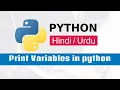 Printing Variables in Python - A Beginner s Guide