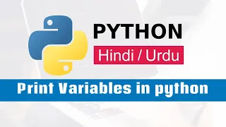 Printing Variables in Python - A Beginner s Guide