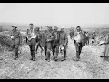 World War I casualties Wikipedia article