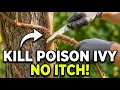 How I Removed 20 Years Of Poison Ivy From My Trees For FREE No Itch