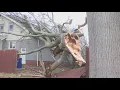 Aftermath of strong winds in Northeast Ohio Still dealing with power outages