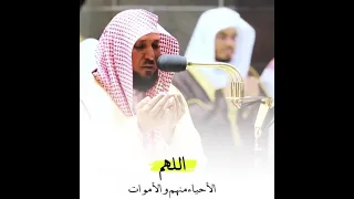 فضيلة الشيخ الأستاذ الدكتور ياسر بن راشد الدوسري تذكر والده رحمة الله عليه وبكى بكاء شديد 