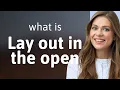 Unveiling the Meaning Lay Out in the Open