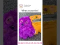 Download Lagu It turns out to be a bunch of fart - makers!#memes #cute #amazing #surprise #doll #uglydolls #ugly