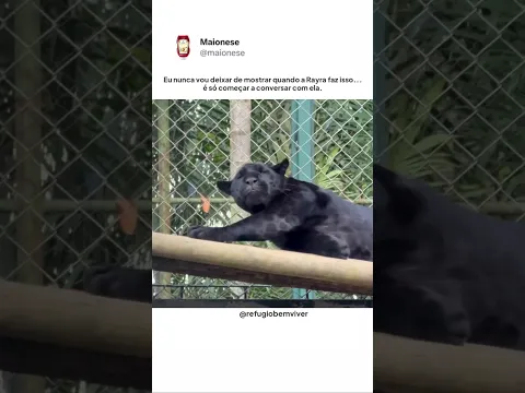 7 de setembro de 2026