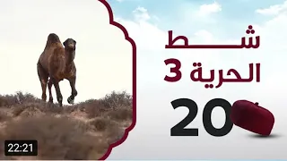 شط الحرية حلقة الجمل لا تفوت ضحك السنين 