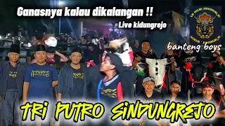 ganasnya bantengan tri putro sindung rejo kalau dikalangan dibikin morat maret live kidungrejo
