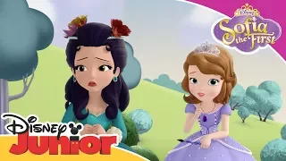 sofia the first sofias painting adventure