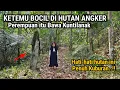 Download Lagu KISAH MISTERIUS BIKIN TAKUT!! 10 TAHUN BERSEMBUNYI DI HUTAN ANGKER BARENG SOSOK KUNTILANAK