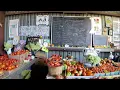 A visit to Rottkamp Bros Farm in Old Brookville NY to shop and fly my DJI Mini 2