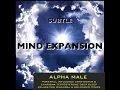 Drop the Inner Critic - Solfeggio 528 Hz - Subtle Mind Expansion