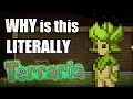 So I gave Starbound a CHANCE Wthhh
