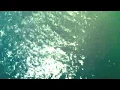 Federico Albanese - The Houseboat and the Moon Teaser #1