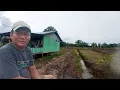 Download Lagu TRASMIGRASI ASAL BOYOLALI SEMBILAN TAHUN MENUNGGU KESEMPATAN BERTANI