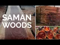 SAMAN WOODS