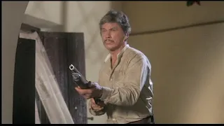 Confronto Mortal - Justiça Selvagem - Charles Bronson