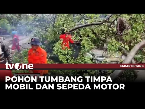 Pohon Besar Tumbang di Bogor Timpa 3 Kendaraan