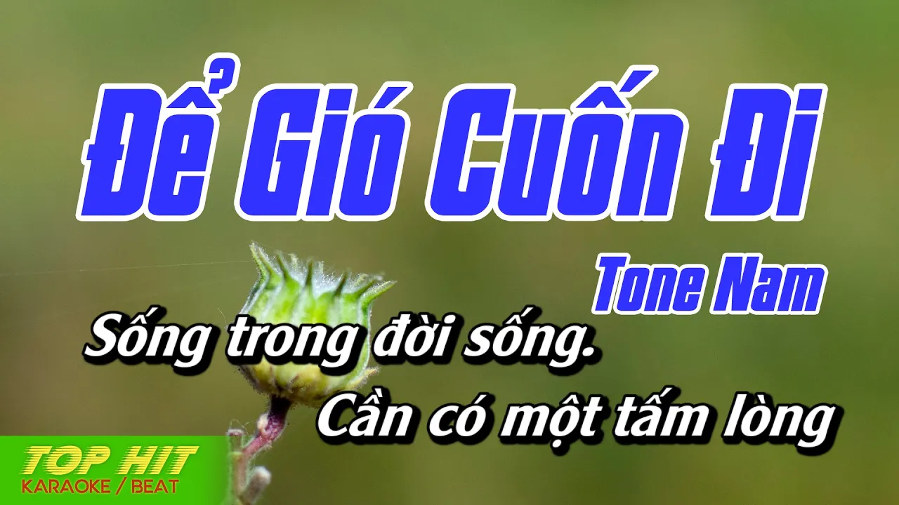 Để Gió Cuốn Đi Karaoke Tone Nam | Nhạc Sống Phối Mới Chuẩn Dễ Hát TOP HIT KARAOKE