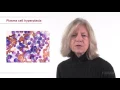Cytology of Lymp Nodes