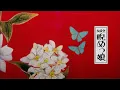 Download Lagu 「睨めっ娘」 (Niramekko) - 友成空  -［AyaSoheiCover］
