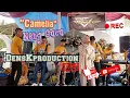 Lagu CAMELIA - Neng Cucu Si Suara Merdu || DensKproduction‼️|| 73Audio