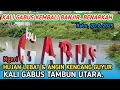 Download Lagu GABUS RAYA KEMBALI BANJIR❓NGERI‼️PENAMPAKAN KALI GABUS PASCA DIGUYUR HUJAN LEBAT \u0026 ANGIN KENCANG.