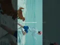 Download Lagu Running Wild Jin English lyrics||WhatsApp Status||#runningwild#happy#bts#btsarmy#jin#seokjin#shorts