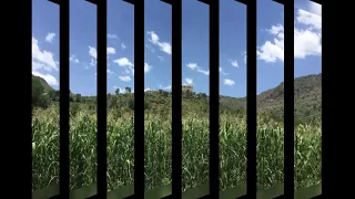 أقوى برعه مزمار احمد مبخوت عمرك ما شفته جديد دندنها