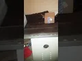 1st time ordering from GOAT experience Did they send me fake shoes Is instant ship worth it