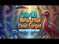 Download Lagu Top 10 Birds That Time Forgot