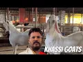 Download Lagu Big Khassi Goats at MD Goat Farm Padgha